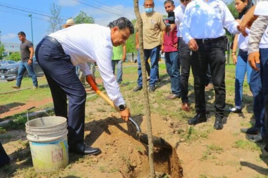 Alcalde y estudiantes reforestan la Capital
