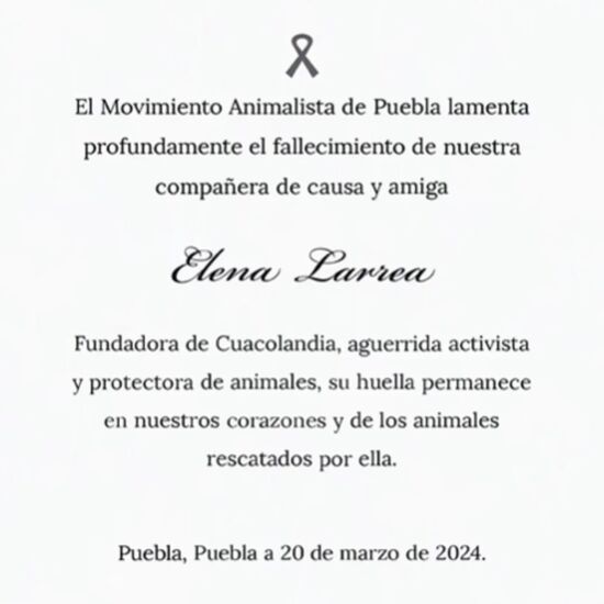Fallece Elena Larrea 2