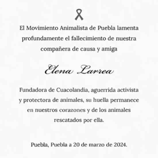Fallece Elena Larrea 2
