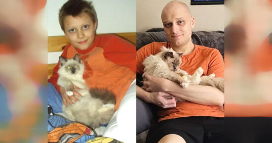 Joven , Despide, Gato , Viral, Foto