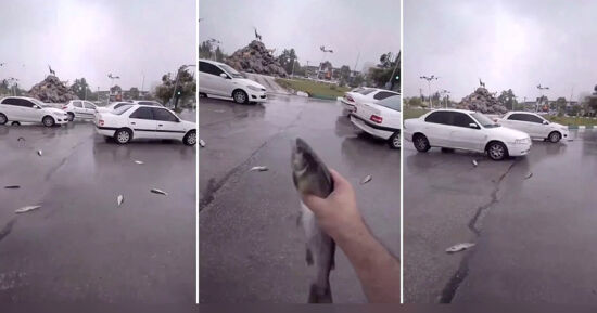 lluvia peces iran