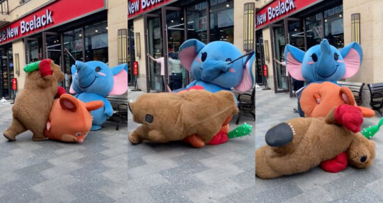 Pelea , Botargas , Elefante, Hámster , Viral , Video