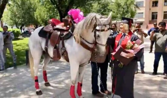 Le regalan un caballo luego de graduarse