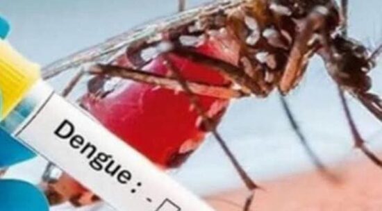 Minimizan aumento de casos de dengue