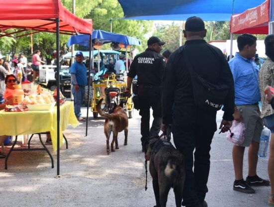 Desertan 200 policías al año