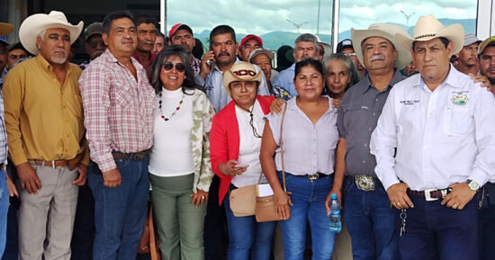 Productores de sorgo a punto de ir a la quiebra