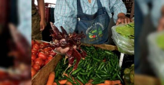 Pero… hubo productos que sí bajaron precios