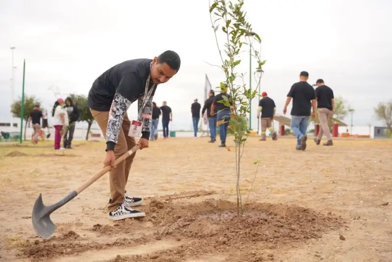 Inicia reforestación masiva