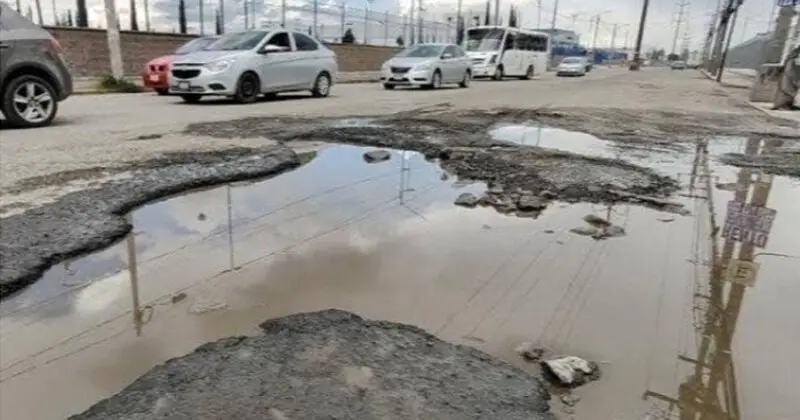 Demandan crear “ley antibaches”