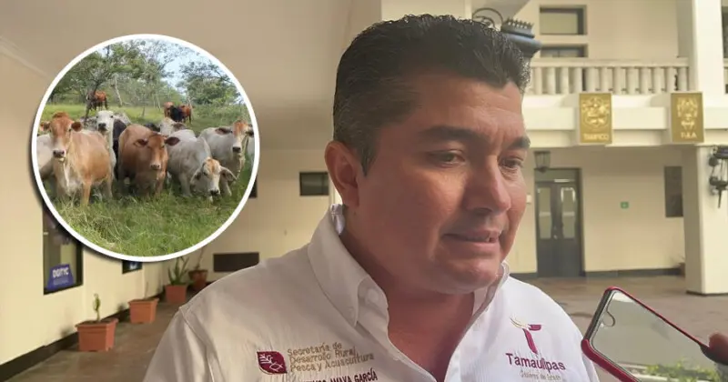 Cuarentena de manera preventiva en ocho predios con ganado