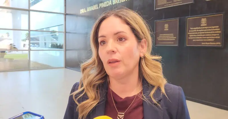 Viven mujeres y hombres violencia vicaria en Tamaulipas; Ale Cárdenas