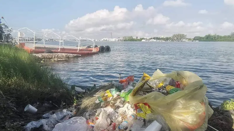 Basura electrónica amenaza al Pánuco