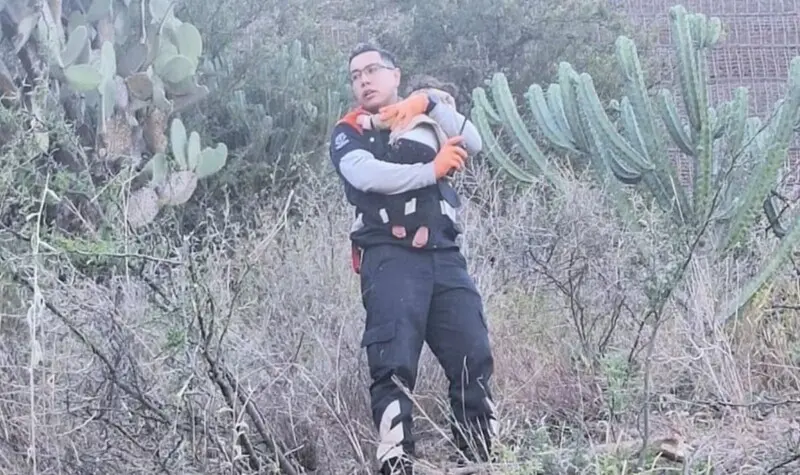 bebe barranco guanajuaro
