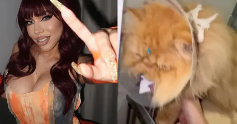 Acusan a Yeri Mua de maltrato animal a su gata