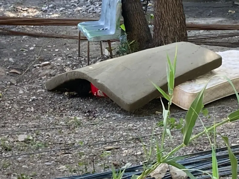 Encuentran hombre sin vida en la Colonia Tamatán