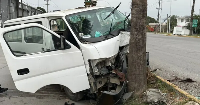 Se le atravesó una palmera