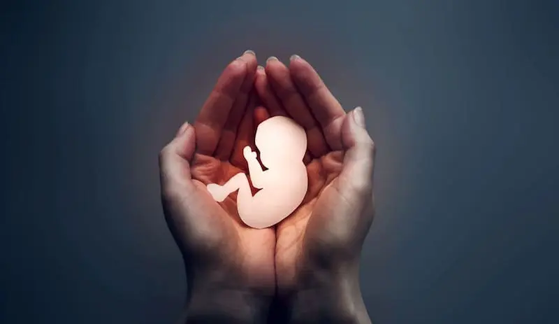 Pide la Iglesia no aprobar el aborto