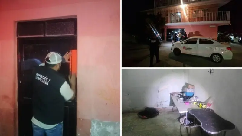 Cuerpos Perros Veterinaria Torreón 2