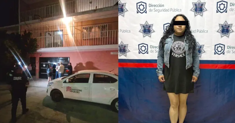 Cuerpos Perros Veterinaria Torreón