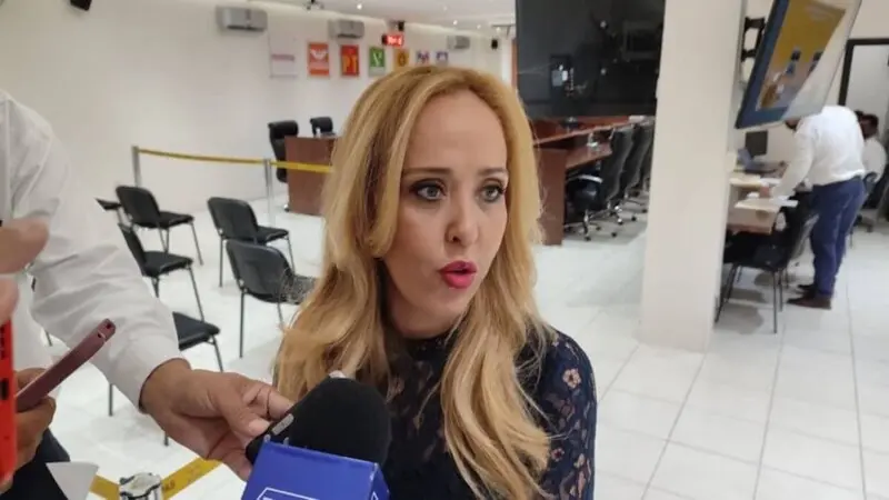 Institutos electorales harán las campañas