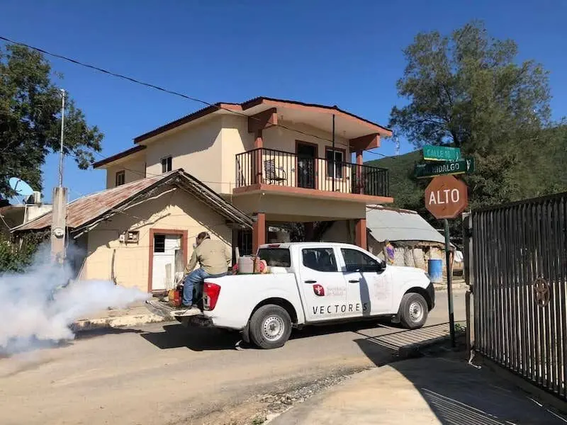 Suman 165 casos de dengue en este año