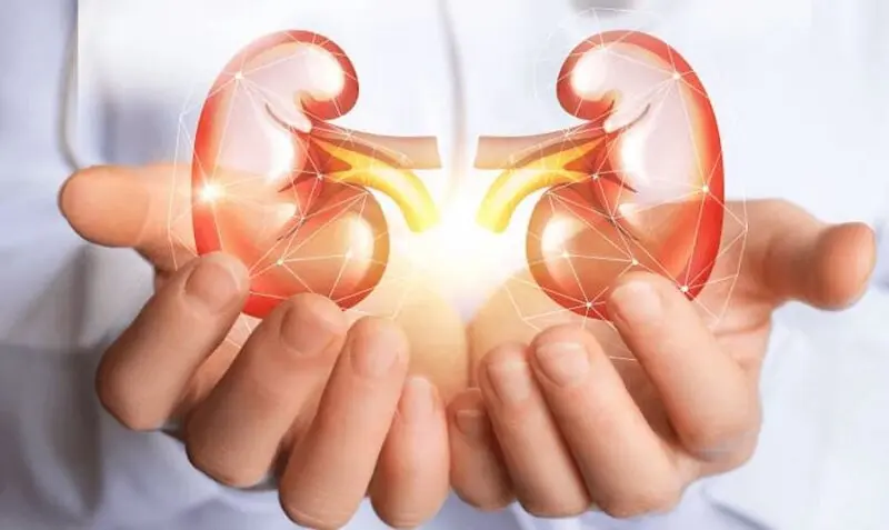 Salud renal: ¿La estás ignorando?