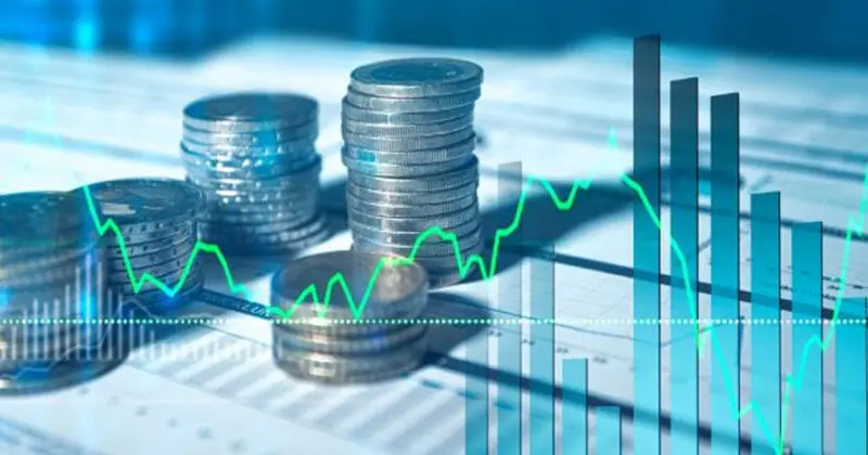 Cayó la inversión fija al término del 2024