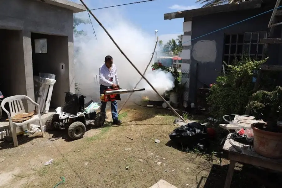Piden a los municipios redoblar fumigaciones