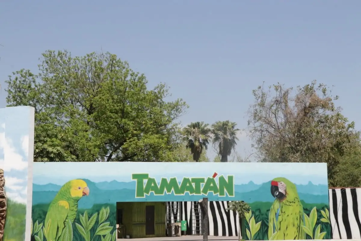 Todos a Tamatán