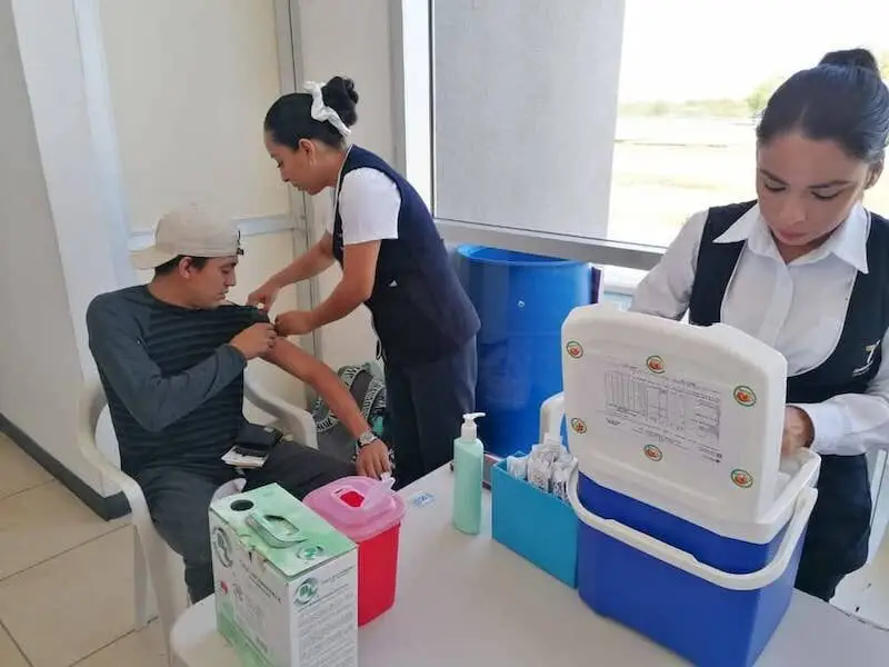 Descartan en Salud alerta por tosferina y sarampión