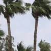 Así estará el clima este sábado