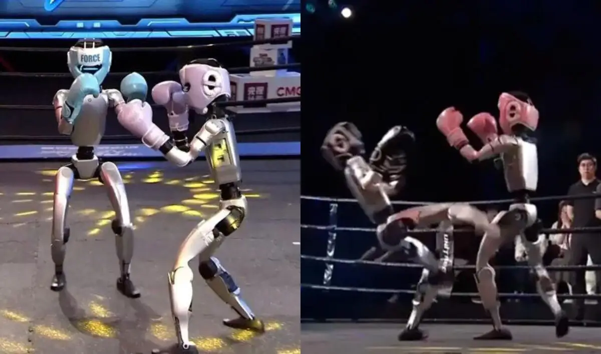 China Torneo Boxeo Robots