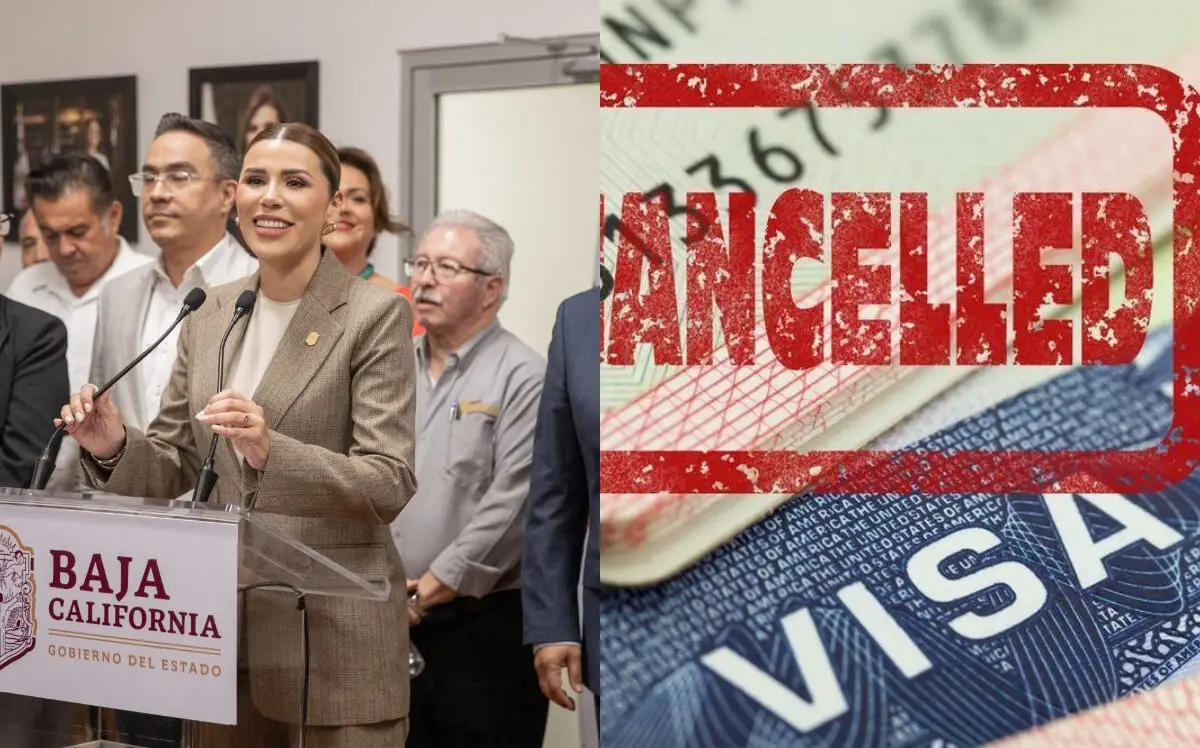 Marina Del Pilar Cancelación Visa Baja California