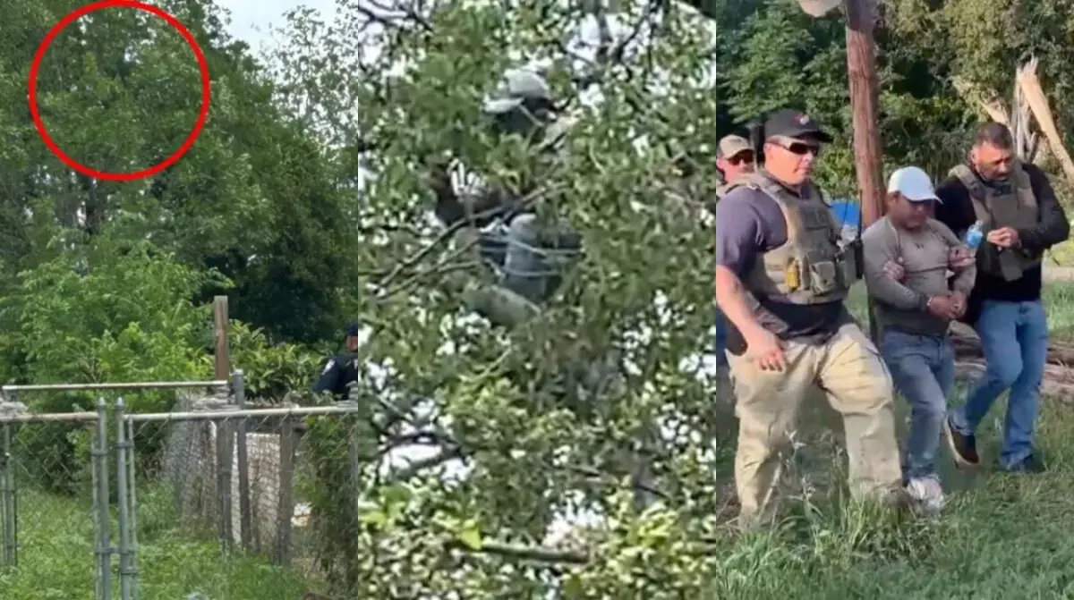 Migrante Árbol Deportado Texas