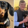 Perrita regresa a casa tras sobrevivir 18 meses en una isla de Australia