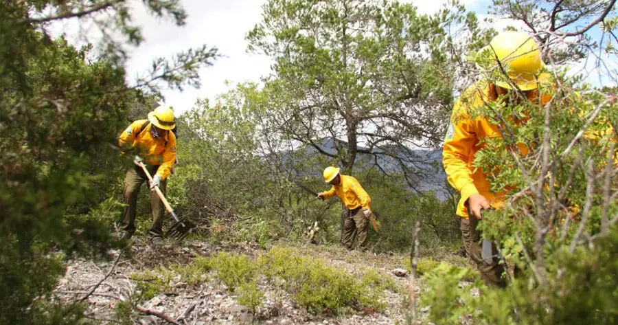 Dan tregua los incendios